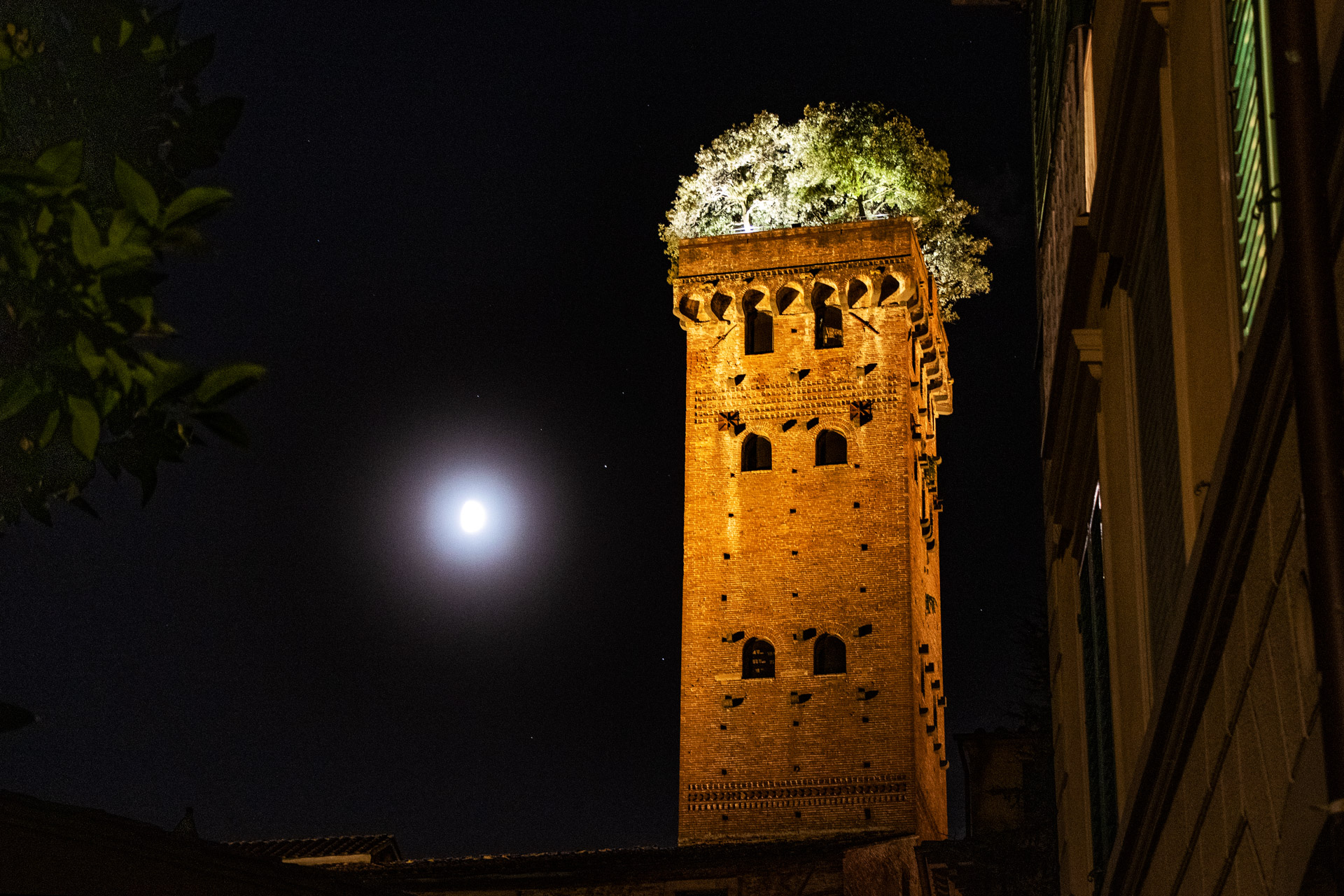 Lucca - Torre Guinigi notte